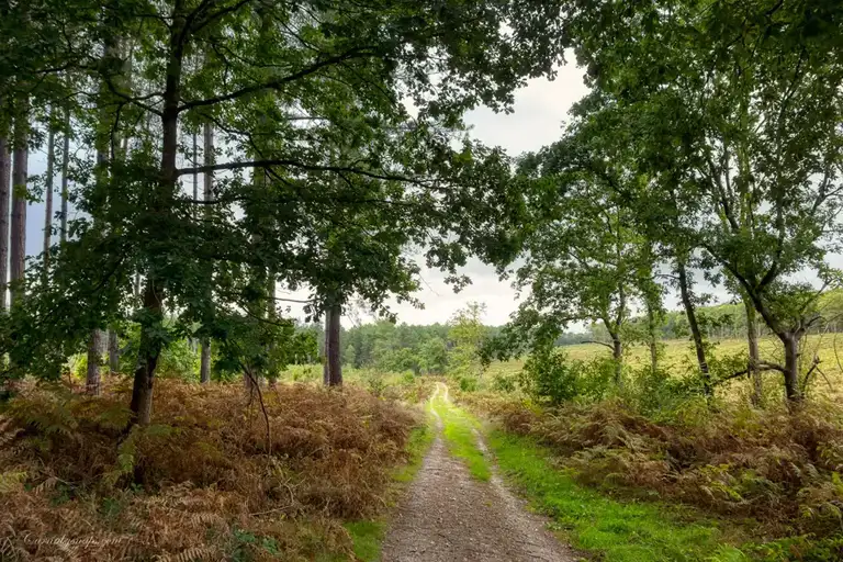  I usually spend a lot of time planning my route at home and have it loaded up into my Garmin device, though the problem with it can be it you slightly go of course the Garmin does not like this so I move over to google maps and this can be good 99% of the time but it can lead you on some funny routes like this example!