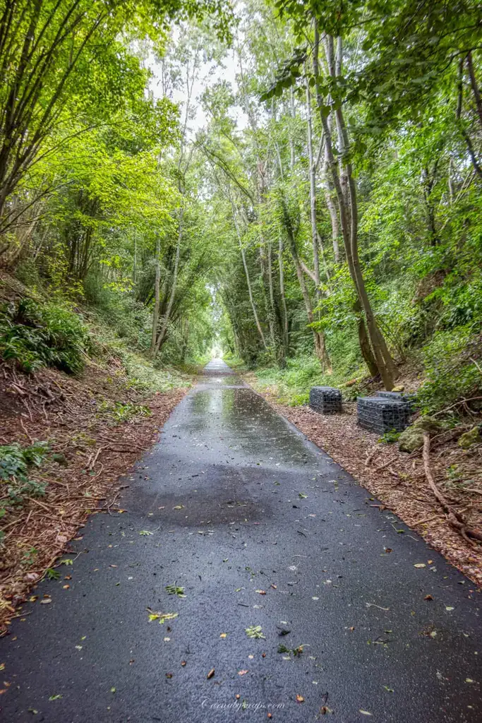  This day was probably the worst of the rainy days I had on the trip - before the find in the next photo it started to wear me down quite a bit but it's all part of the adventure so you roll with it as much as you can!