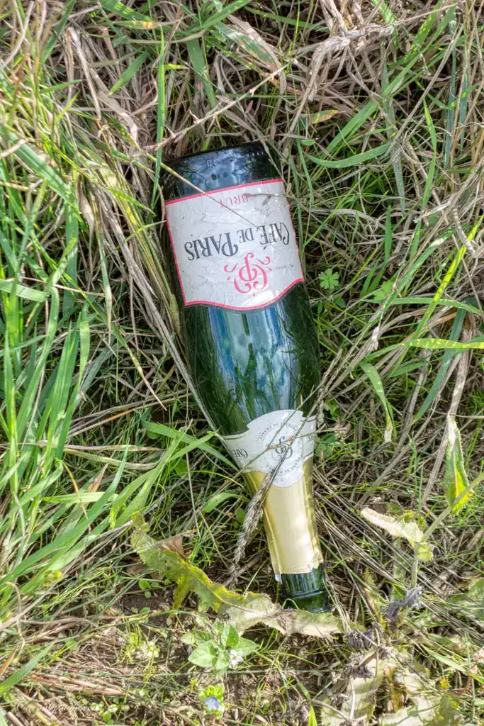 Looks like the farmer had a private party! found in the bushes of the mention silo!