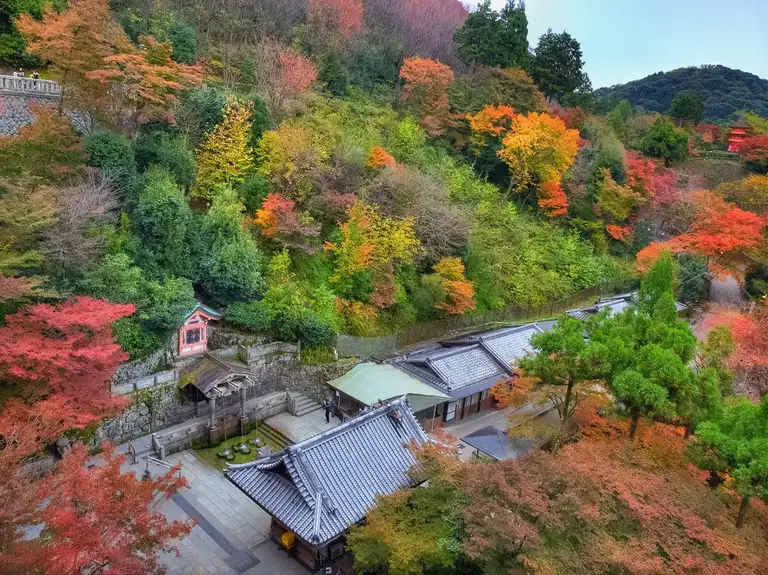  Otowa Waterfull in the Autumn Colors Kitomizu dear Temple, Kyoto