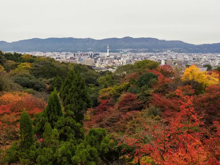  Kyoto Tower as seen from Kitomizu dear Temple with Autumn Colors, Kyoto