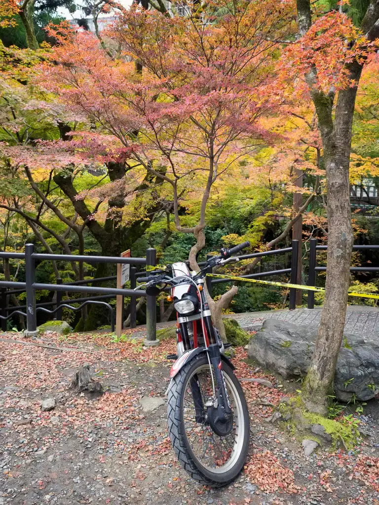 Motorbike in Autumn Colors Kitomizu dear Temple, Kyoto