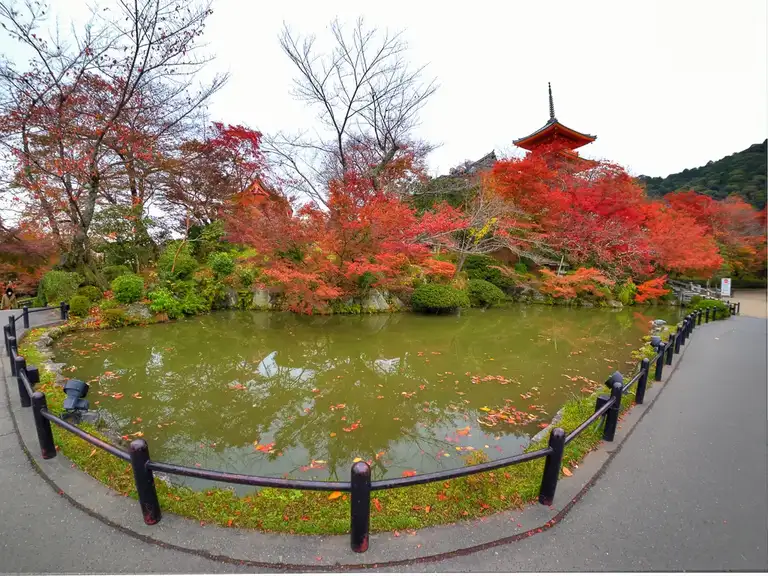  Pond Sanjunoto pagoda in red autumn colors Kitomizu dear Temple, Kyoto