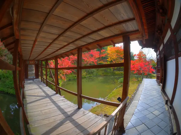  Looking out onto the pond in the place of worship in autumn colors Kodai ji Kyoto