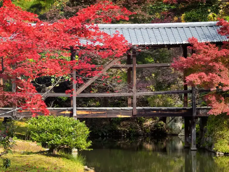 Walkway to Tamaya in autumn colors Kodai ji Kyoto