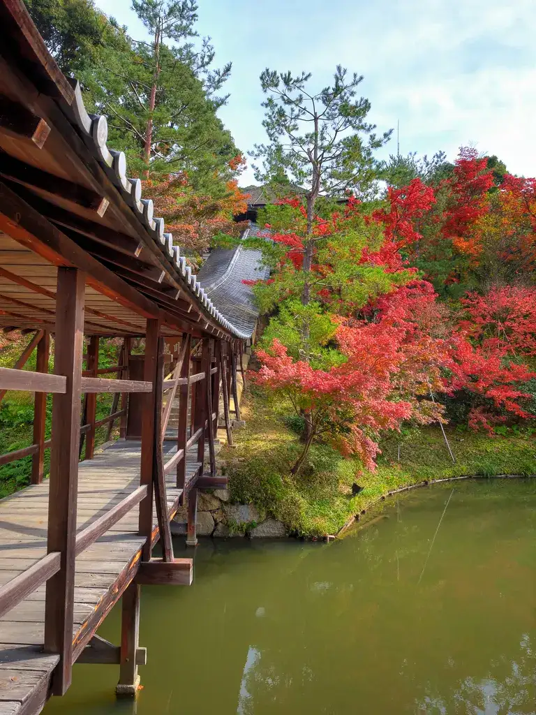 Walkway to Tamaya in autumn colors with pond Kodai ji Kyoto