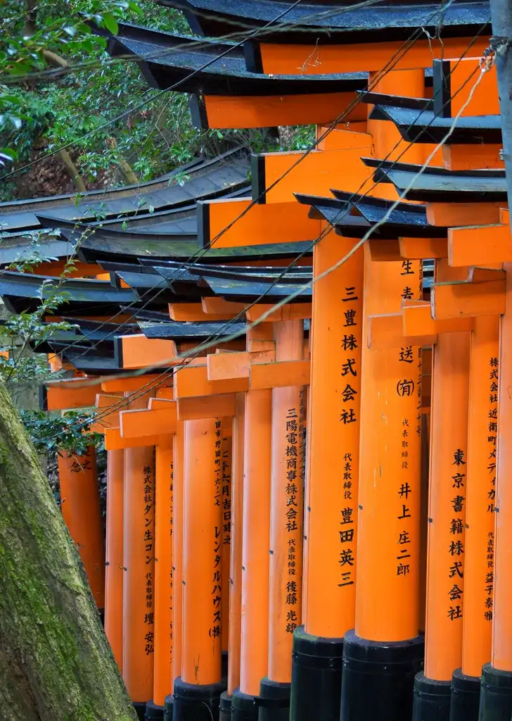 Outside look at the torii gates coming back down Mount Inari at Fushimi Inari Taisha Kyoto
