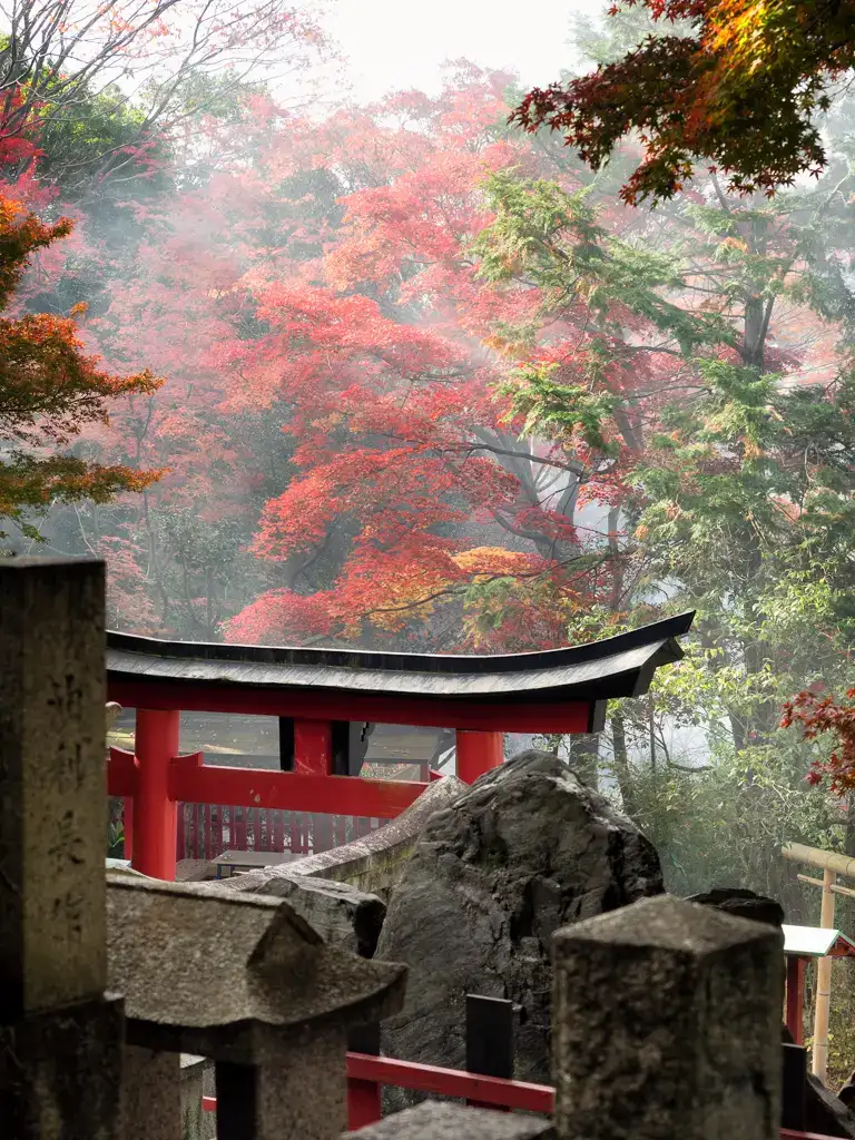 Mist coming through the wooded forest of autumn colors at Fushimi Inari Taisha Kyoto
