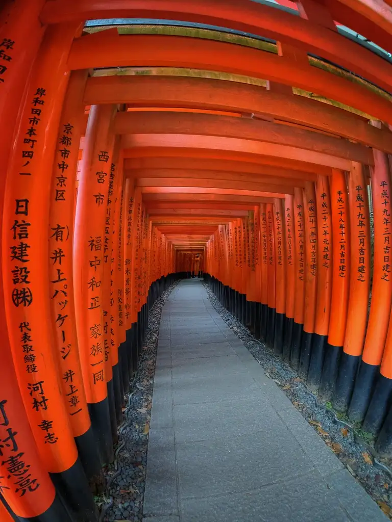 Name and date of each donator on these torii gates at Fushimi Inari Taisha Kyoto