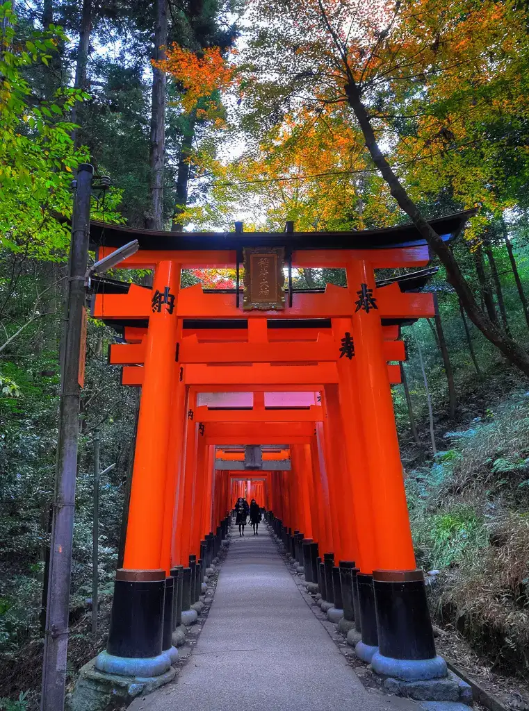 Two woman pause to take a photo of the torii gates and autumn colors at Fushimi Inari Taisha Kyoto
