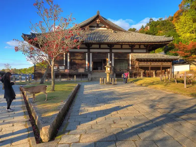 Deer bowing in front of Todaiji HokkeDo in Todaiji Nara