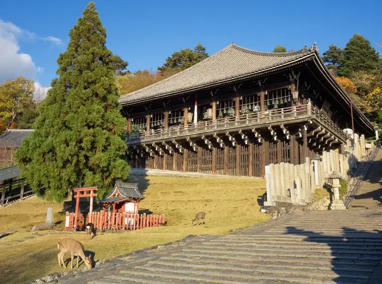Hilltop buddhist hall in Todaiji Nara