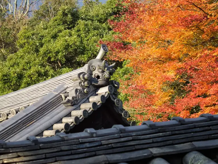Temple roof detail in the autumn colors of the Hilltop buddhist hall in Todaiji Nara