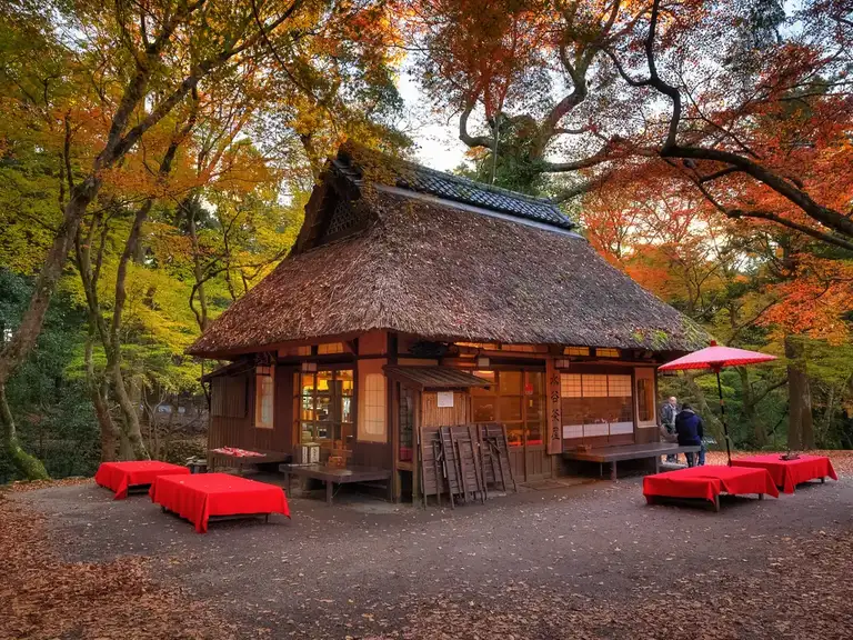  Dream like thatched house in the woods near Mizuya Shrine Nara