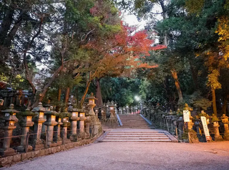  Many stone lanterns line the path near Wakamiya Shrine just outside Kasuga taisha Nara