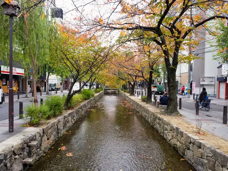  Shirakawa Canal in Gion Kyoto