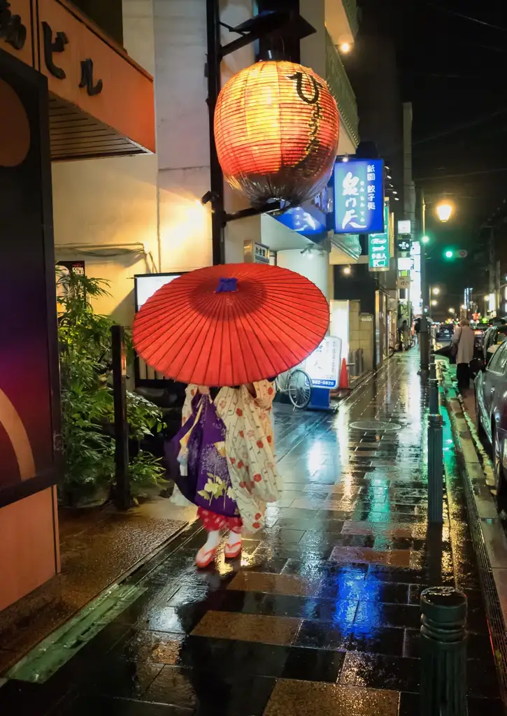 Geisha shows me the umbrella to hide her face down a back street at night in Gion Kyoto
