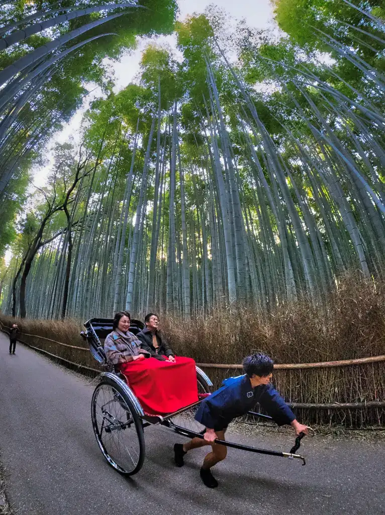 Couple being pulled through the Bamboo Grove on a rickshaw Arashiyama