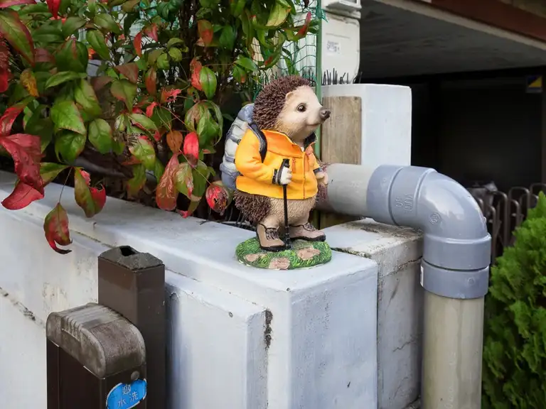 A fellow trekker Arashiyama