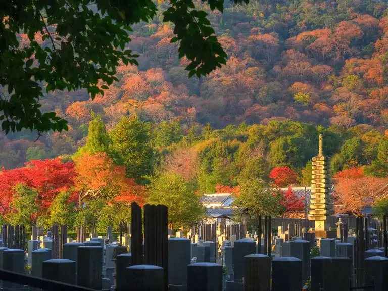 Cemetery and autumn colors Arashiyama