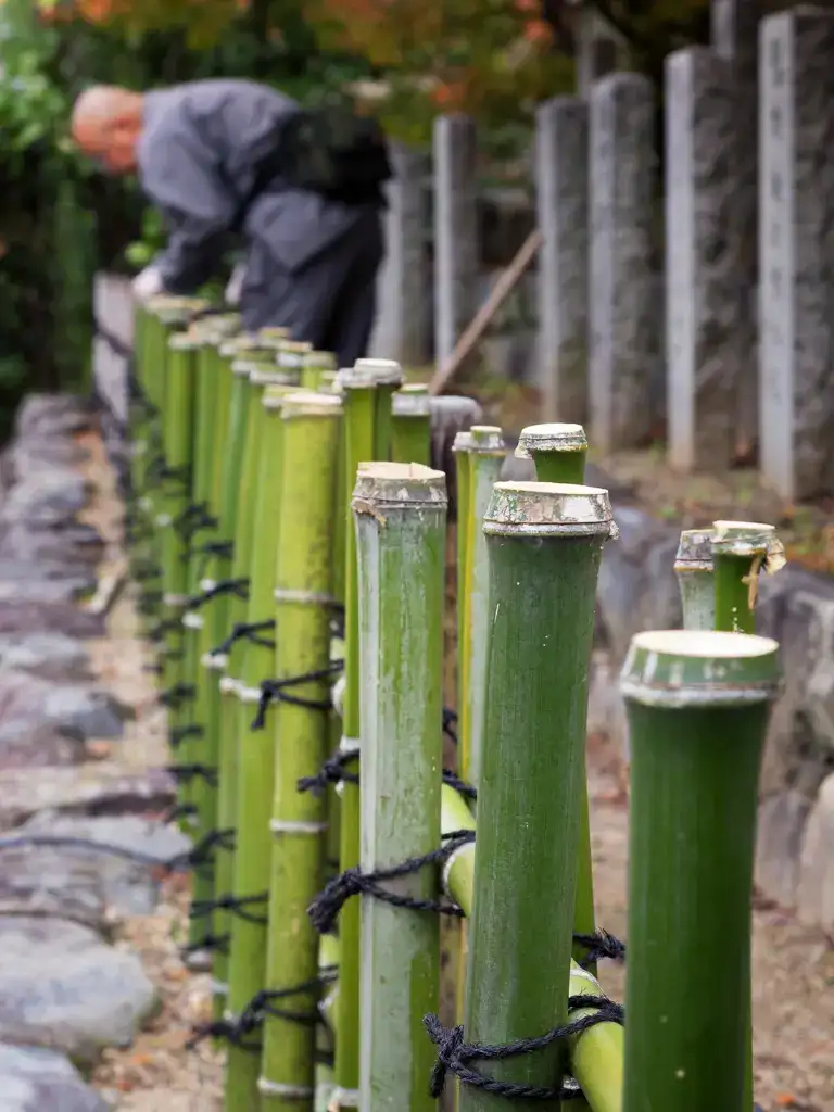 Buddhist monk stringing up a bamboo fence Arashiyama