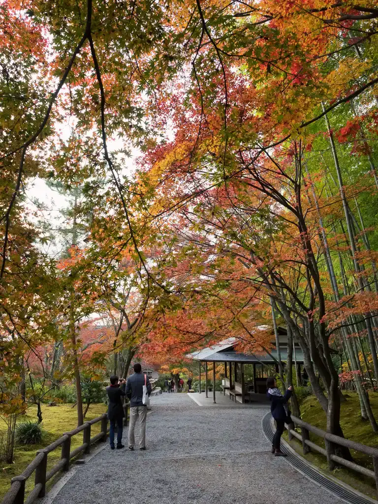 Entering the North Entrance with the autumn colors at Tenryu ji Temple Arashiyama