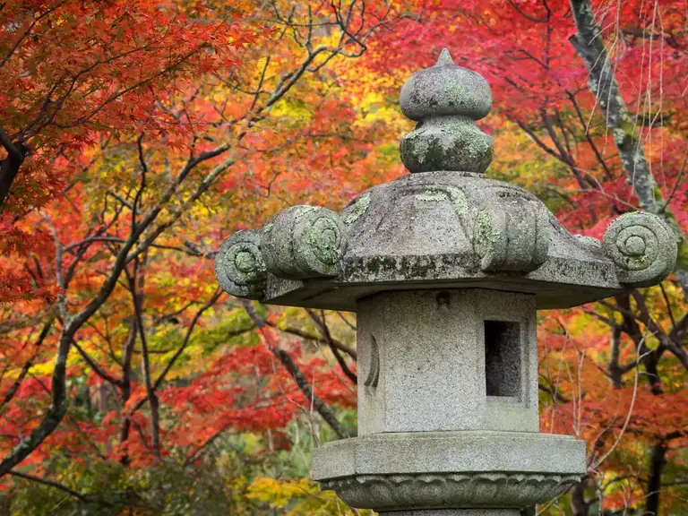  Stone lantern in autumn colors at Tenryu ji Arashiyama