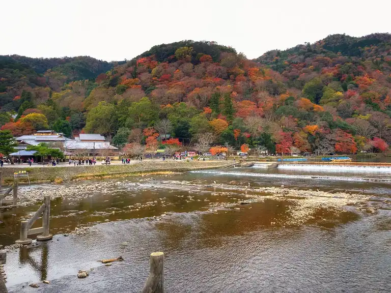 Iwatayama Monkey Park is on top of that hill covered with autumn colors Arashiyama