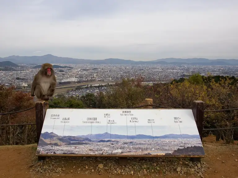 Great view of Arashiyama from the top of the Iwatayama Monkey Park Arashiyama