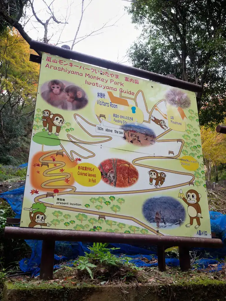  Map of the hilly Iwatayama Monkey Park Arashiyama