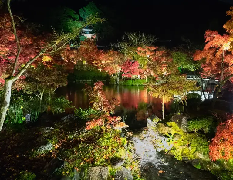 The Hojo Pond at the Eikando Zenrin ji autumn color night illuminations Kyoto