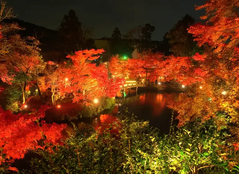 Hojo Pond with red maple leaves at the Eikando Zenrin ji autumn color night illuminations Kyoto