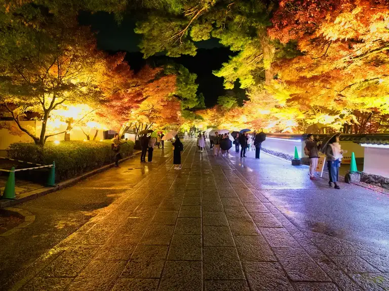 Chifukuin at the Eikando Zenrin ji autumn color night illuminations Kyoto