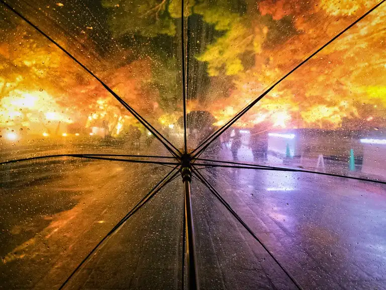 View through my umbrella walking along chifukuin at the Eikando Zenrin ji autumn color night illuminations Kyoto