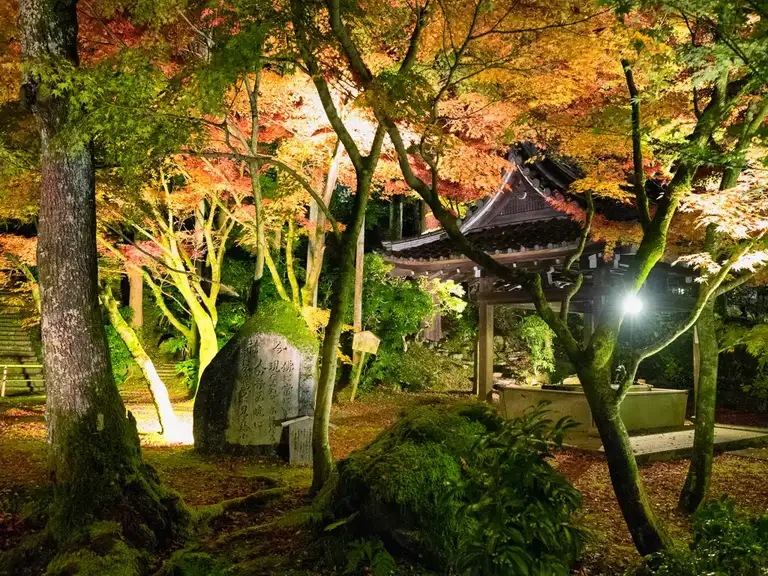 Purification fountain in the Eikando Zenrin ji autumn color night illuminations Kyoto