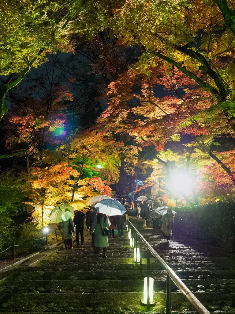 Walking down a steep staircase at the Eikando Zenrin ji autumn color night illuminations Kyoto