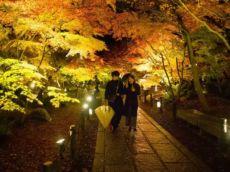 Rain does not stop happy smiles at the Eikando Zenrin ji autumn color night illuminations Kyoto