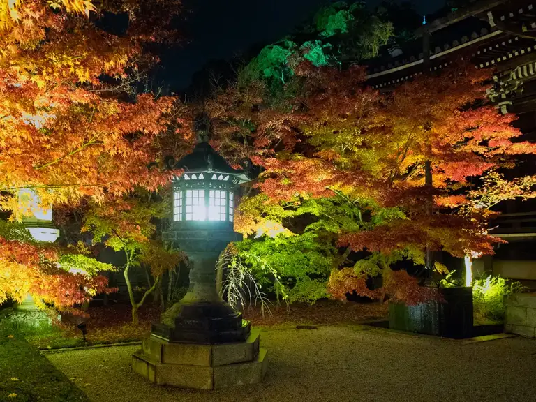  Stone lantern at the Eikando Zenrin ji autumn color night illuminations