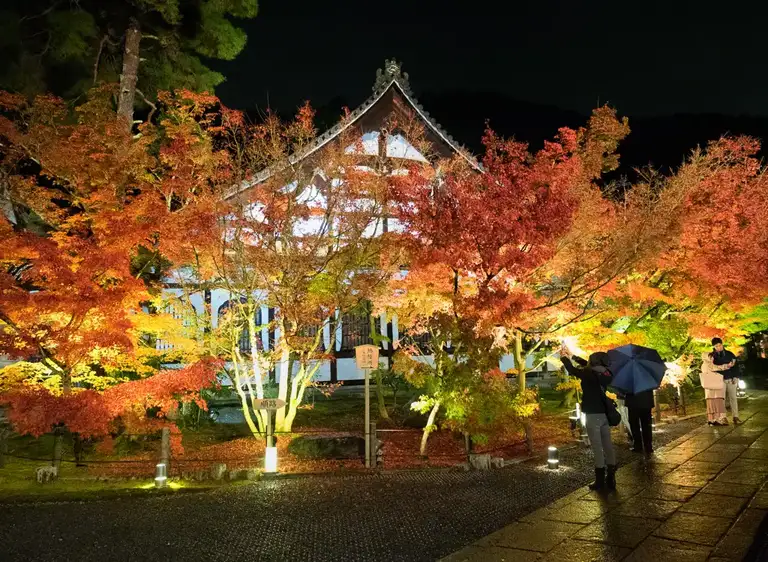 Temple at the entrance to the Eikando Zenrin ji autumn color night illuminations Kyoto