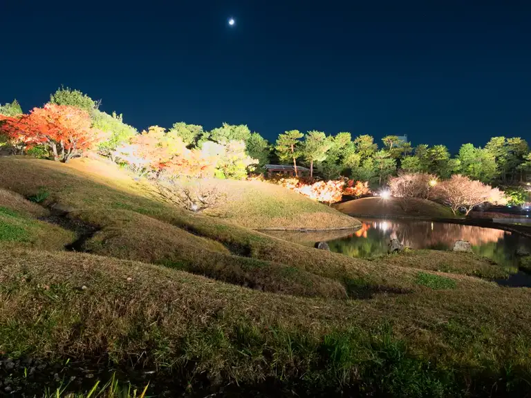 Suzaku no Niwa night illuminations 01 Kyoto