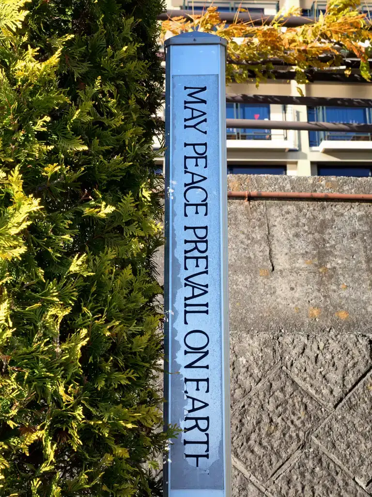 Peace sign at Mount Fuji Lake Kawaguchi