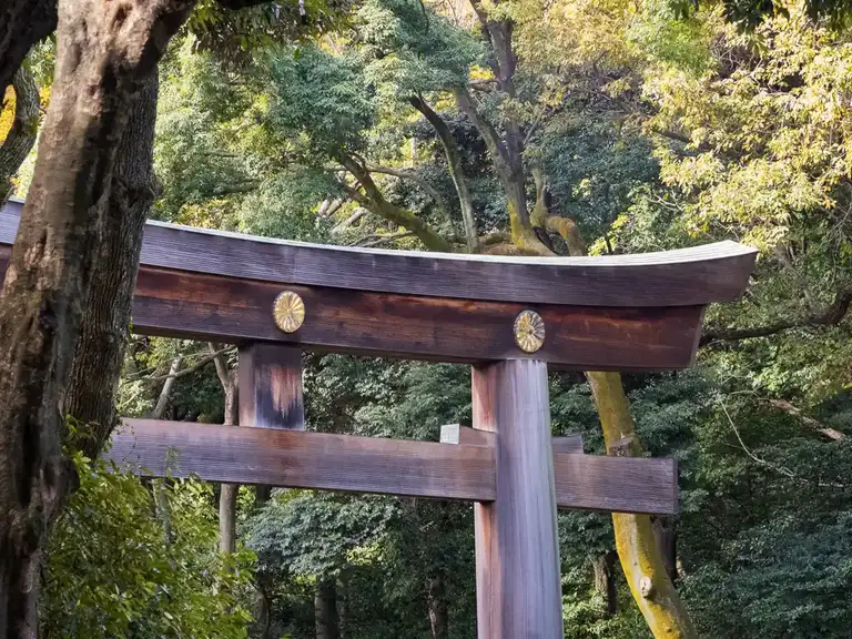 Close up of The Meiji Jingu Otorii at Meiji Jingu Shrine Shibuya