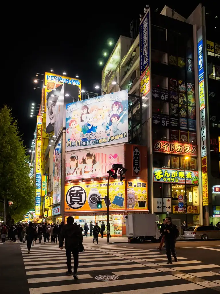 The colorful signs of Electric Town 02 Akihabara Night Time