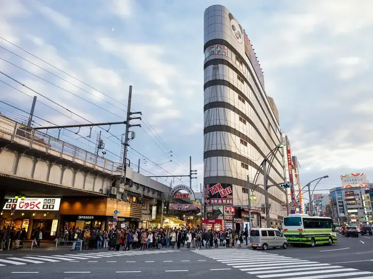 Yodobashi Camera and Ameyayokocho Ueno