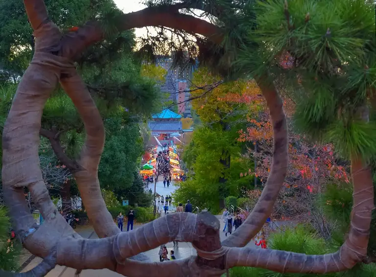 Looking out onto Shinobazunoike Bentendo from Kiyomizu Kannon do Ueno Park