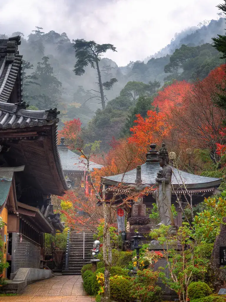 Looking up into a misty and autumn colored Mount Misen Daisho in Temple Miyajima Island