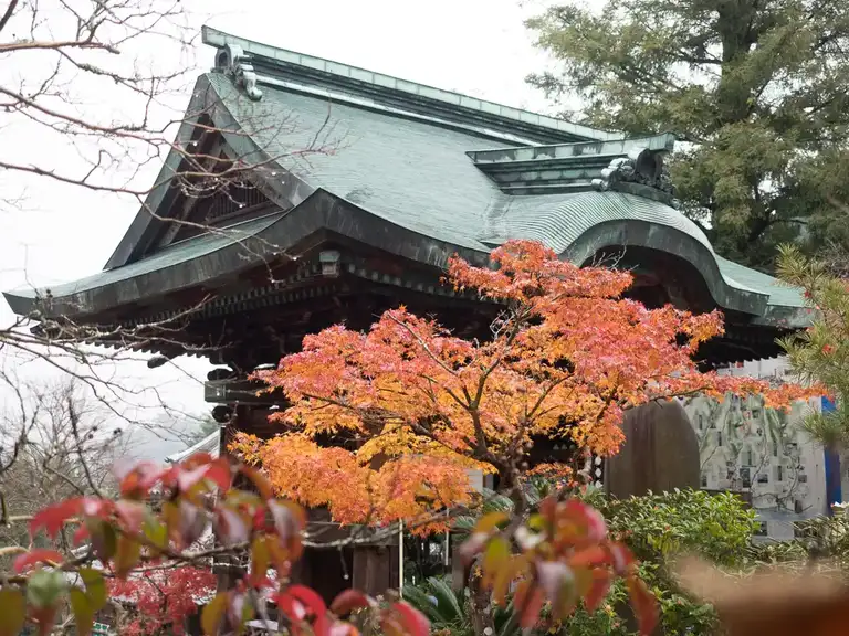  Details of the roof of Maniden do Hall and autumn colors Daisho in Temple Miyajima Island