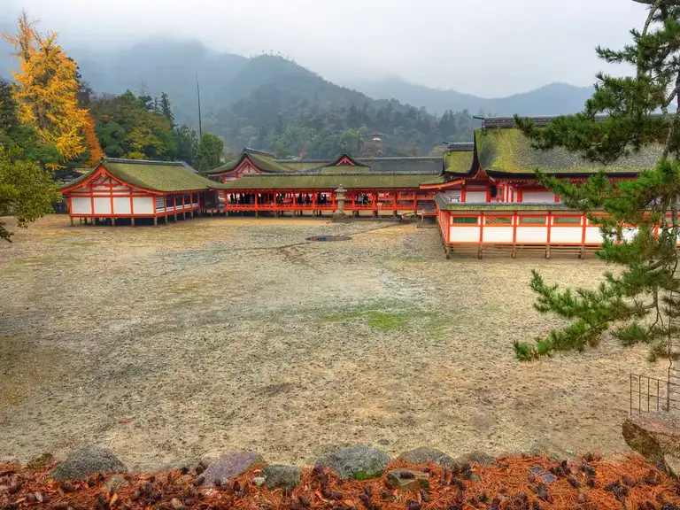 Itsukushima Shrine sits above the sand with the tide out Miyajima Island